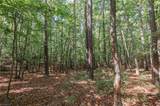 xx 44.93 Acres Stardust Trail - Photo 8