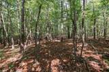 xx 44.93 Acres Stardust Trail - Photo 9