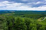 1053 Rich Hill Mountain Road - Photo 3