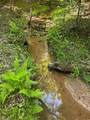 Lot 54 Billings Hill Church Road - Photo 21