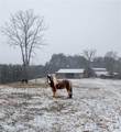 320 Estes Farm Trail - Photo 20