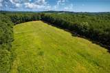 1135 Daisy Creek Farm Road - Photo 10