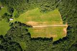 1135 Daisy Creek Farm Road - Photo 16