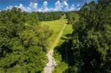 1135 Daisy Creek Farm Road - Photo 23
