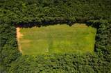 1135 Daisy Creek Farm Road - Photo 6
