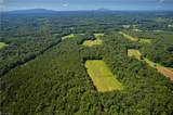 1135 Daisy Creek Farm Road - Photo 7