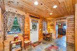 847 Overland Trail - Photo 24