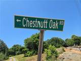 0 Chestnutt Oak Road - Photo 2