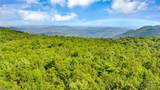 TBD Murphy Bend Road - Photo 25