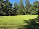 52 Chestnut Mountain Farms Parkway - Photo 1
