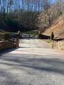52 Chestnut Mountain Farms Parkway - Photo 4