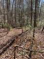 Lot #18 Blue Mountain Drive - Photo 6