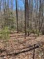 Lot #18 Blue Mountain Drive - Photo 8