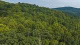 TBD Brushy Mountain Road - Photo 11