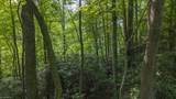 TBD Brushy Mountain Road - Photo 12
