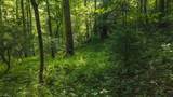 TBD Brushy Mountain Road - Photo 14