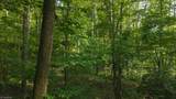 TBD Brushy Mountain Road - Photo 15