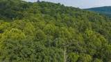 TBD Brushy Mountain Road - Photo 16