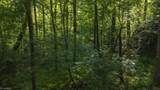 TBD Brushy Mountain Road - Photo 17