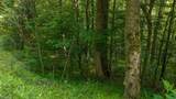TBD Brushy Mountain Road - Photo 18