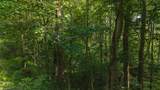 TBD Brushy Mountain Road - Photo 19