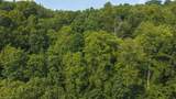 TBD Brushy Mountain Road - Photo 20