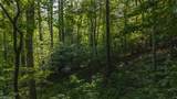 TBD Brushy Mountain Road - Photo 21