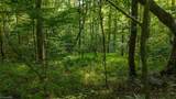 TBD Brushy Mountain Road - Photo 22