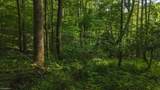 TBD Brushy Mountain Road - Photo 23