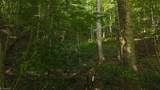 TBD Brushy Mountain Road - Photo 26