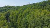 TBD Brushy Mountain Road - Photo 3