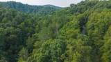 TBD Brushy Mountain Road - Photo 4