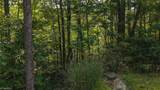 TBD Brushy Mountain Road - Photo 8