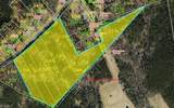 xx- 17.5 acres+- Nc Highway 268 - Photo 4
