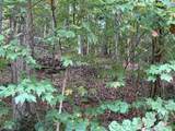 TBD Holly Tree Drive - Photo 2
