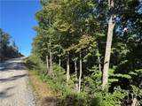 Tract 47 Widow Mountain Drive - Photo 4