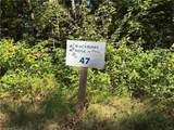 Tract 47 Widow Mountain Drive - Photo 5