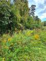 Lot 13 Mountain View Road - Photo 3