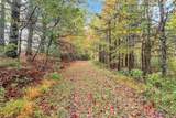 TBD Blue Ridge Church Road - Photo 10