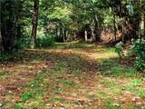 TBD Blue Ridge Church Road - Photo 11