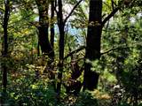 TBD Blue Ridge Church Road - Photo 18