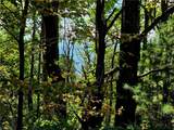 TBD Blue Ridge Church Road - Photo 19