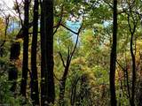 TBD Blue Ridge Church Road - Photo 21
