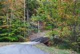 TBD Lot 17 Chestnut Falls Drive - Photo 8