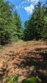 1501 Buckwheat Road - Photo 19