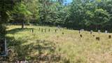 1501 Buckwheat Road - Photo 31