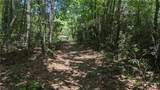 1501 Buckwheat Road - Photo 35