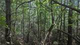 1501 Buckwheat Road - Photo 37