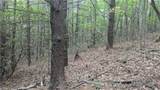 1501 Buckwheat Road - Photo 41
