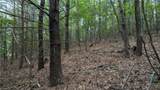 1501 Buckwheat Road - Photo 43
